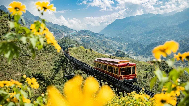A red funicular train climbs a mountainside track above Sapa valley, framed by yellow wildflowers.