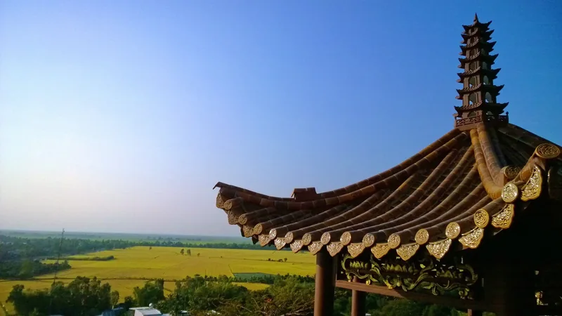 Curved tiled roof of a pagoda tower overlooks green rice fields near Chau Doc.